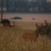 Keď sa fotka podarí