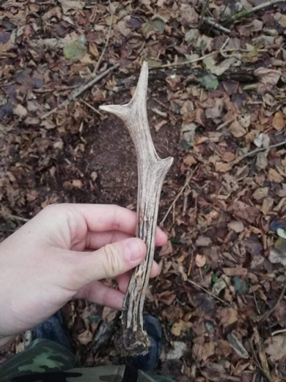 Šťastný nový rok všetkým