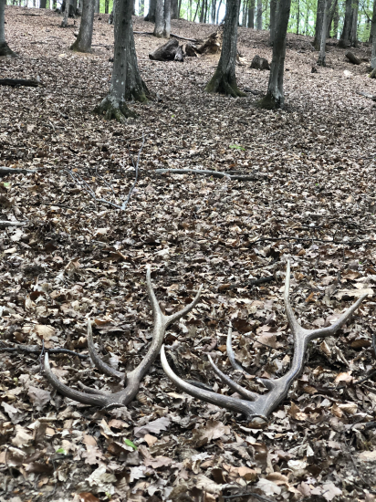 Veľkonočný pondelok