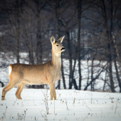 Dnešné milé stretnutie