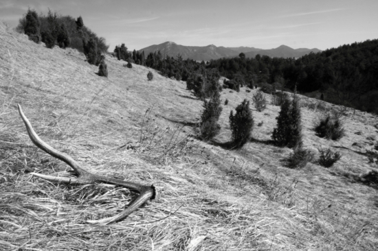 za chvíľu sa to začne.....