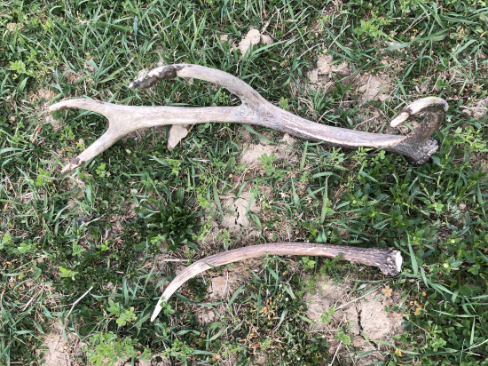 Sezóna pomaly ake isto konči