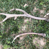 Sezóna pomaly ake isto konči