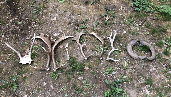 Trochu viac toho je ako som čakal