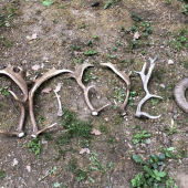 Trochu viac toho je ako som čakal