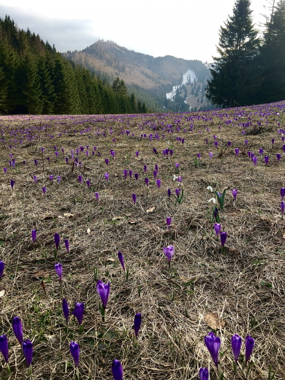 Kam len oko dovidí...