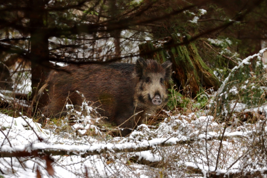 Kde je môj kanček ;-* ?