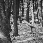 Ten pohľad, keď už o sebe vieme...