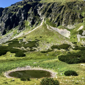 pleso
