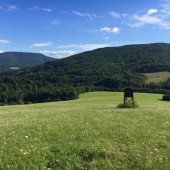 Prechádzka revírom