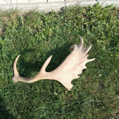 Druhá foto