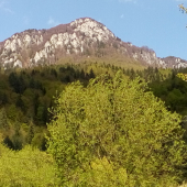 Vrch Šíp