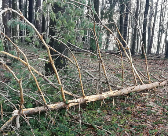 Tu sa vyšantili