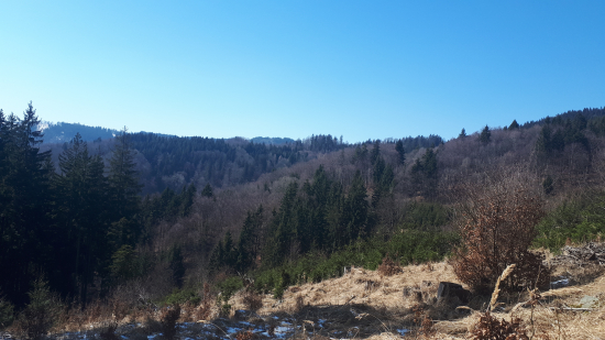 Tu to človek miluje