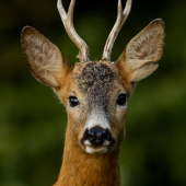 Privabeny na 2 metre