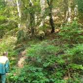 Boli velke sympatie Tak si pokecali