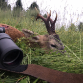 Čaro letných večerov