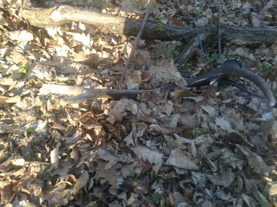 18 náctý starý v sezoně