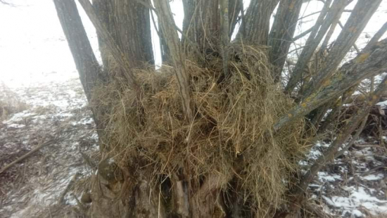 Poľovníctvo má zmysel....