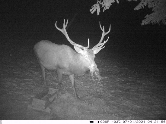 Prišiel sa ukázať