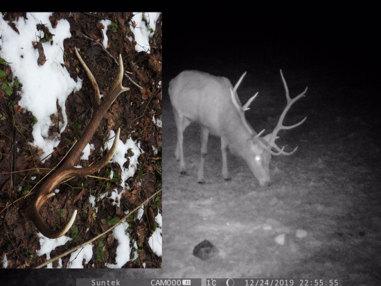 Odštartovanie sezóny