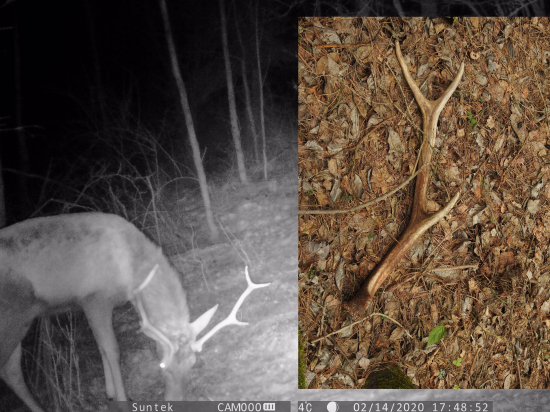 Posledný čerstvý 2020 (zatiaľ)