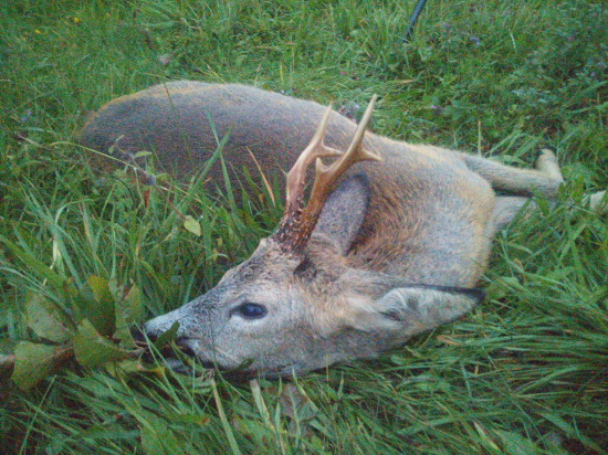 poslední v roce 2020