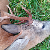 Nádhera a radosť...