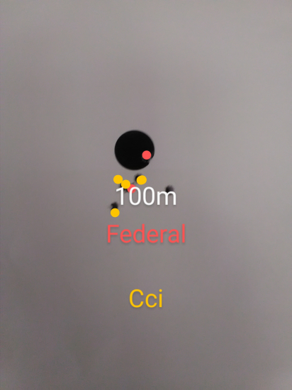 22WMR Federál CCI