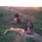 Ráno za tri večere...č26