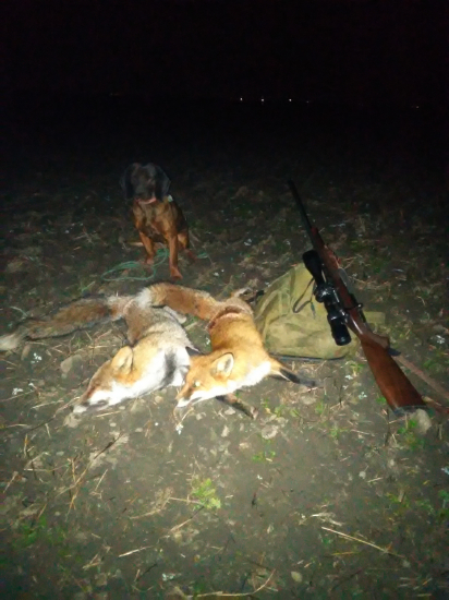 32.33.krasny večer