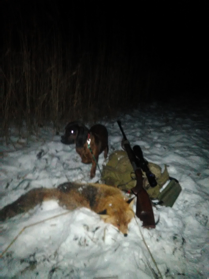 Keď prehovorí talianka....