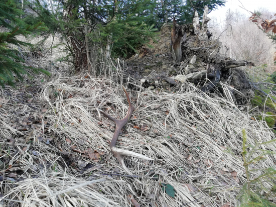 Pohľad ktorý neomrzí..