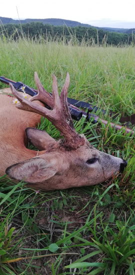 Srnec k 50-ke ako sa patrí