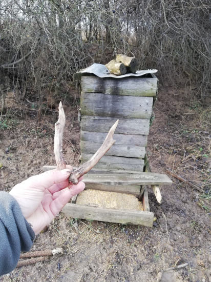 U sadze pri zasobniku