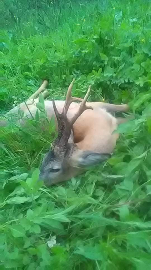 Po predvečernej búrke...