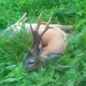 Po predvečernej búrke...