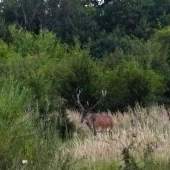 Dokumentačná fotografia