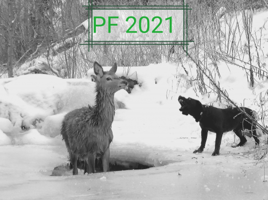 PF 2021