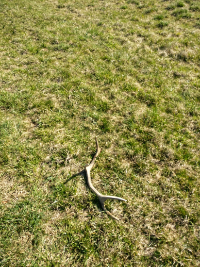 Tréningový osmorák