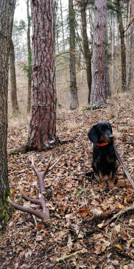 S parťákom na zhodoch