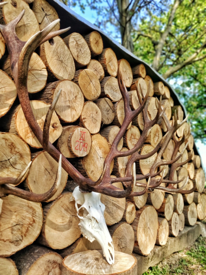Detail ľavej strany