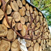 Detail ľavej strany