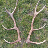 Je to par alebo nie?