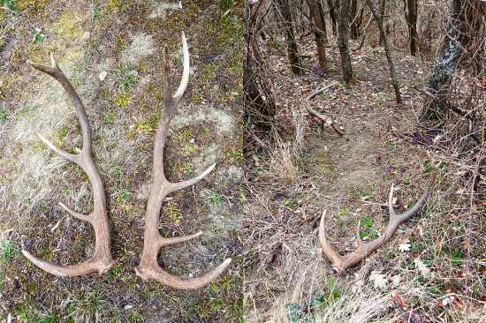 nájdenie zhodov 10-toráka pár