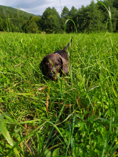 Dnes na prechádzke : CLIF