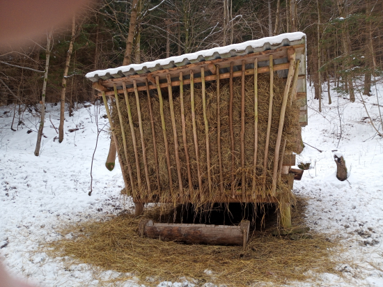 Už 3.krát túto zimu