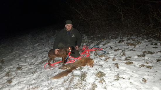 Lišiačik zo Slatiny