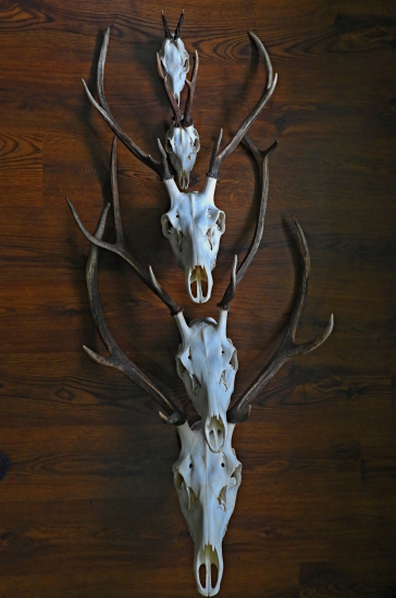 Sezona 2020 pripravené na CHP