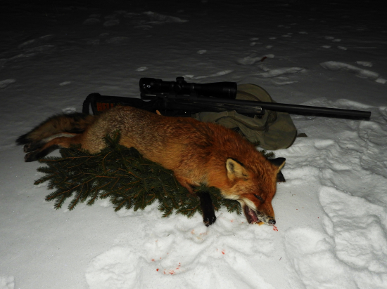 Silný lišiak na záver